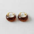 Resin U-Shape Geometric Earrings